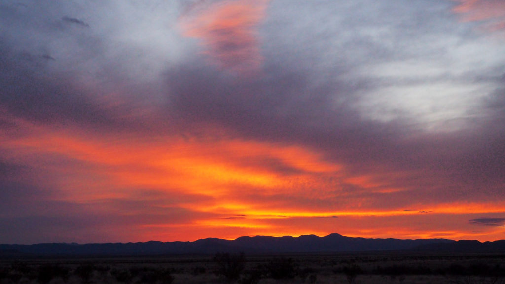 I hear grass growing