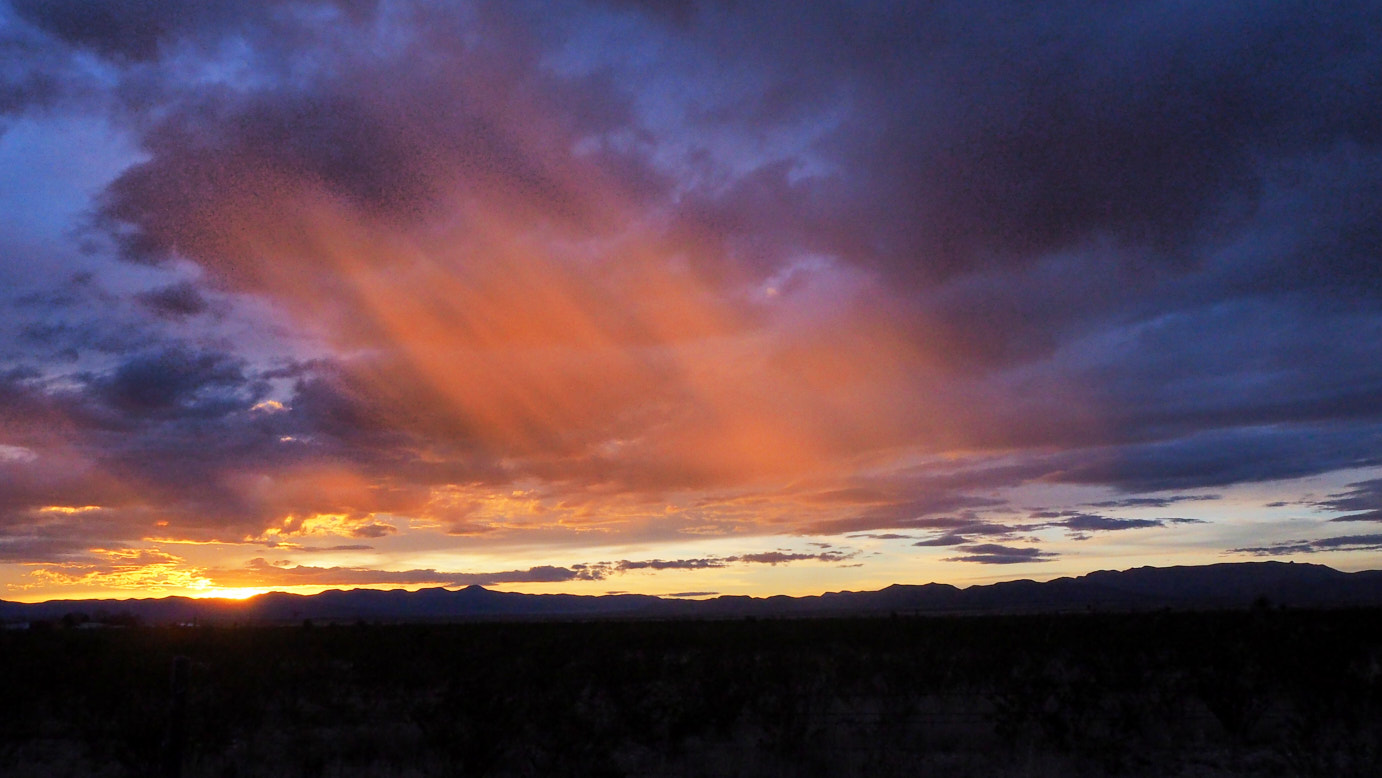 Then an empty sky, / neon-bright, empty.