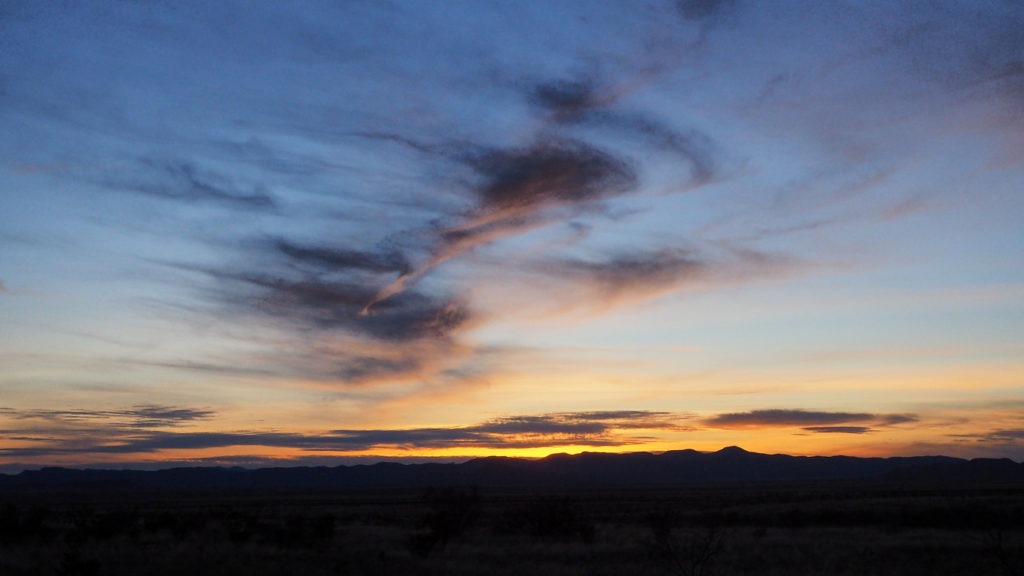 expect now to return for more. —Denise Levertov