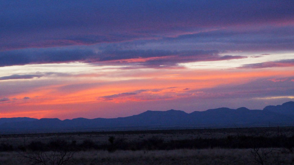 butterfly translated into smoke