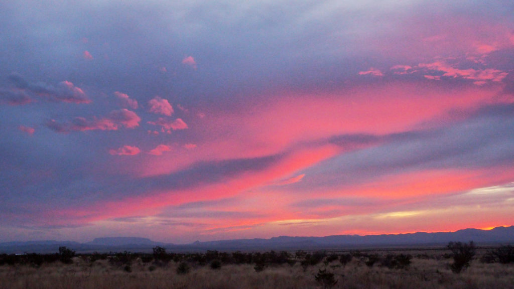 and something was released back into the wild