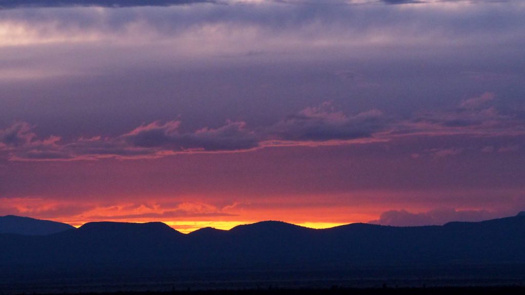 and untrained air where love is born —Caroline Bird