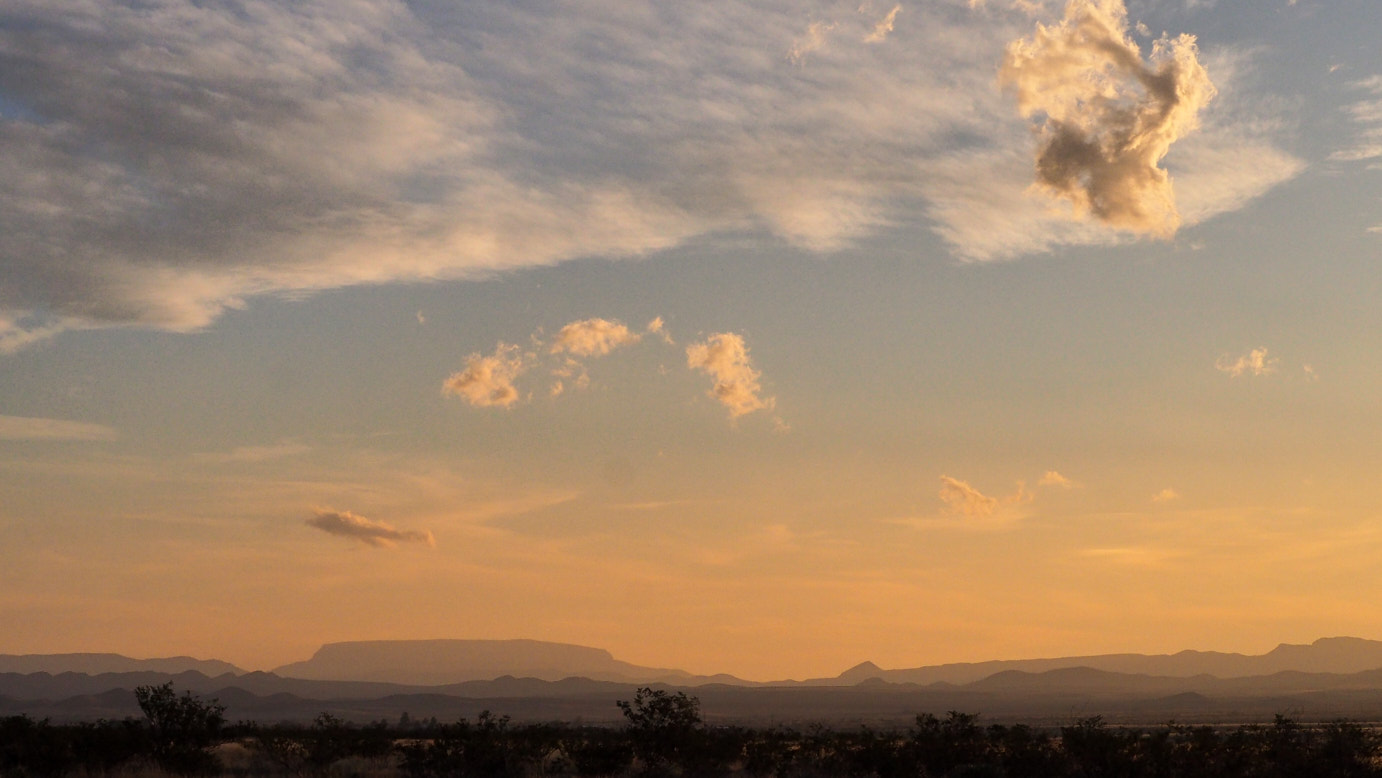 You should praise the mutilated world.