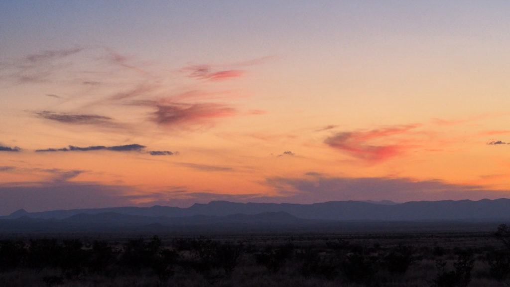 You gathered acorns in the park in autumn