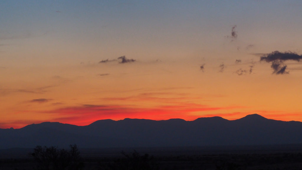 and leaves eddied over the earth's scars. —Adam Zagajewski, translated by Clare Cavanagh