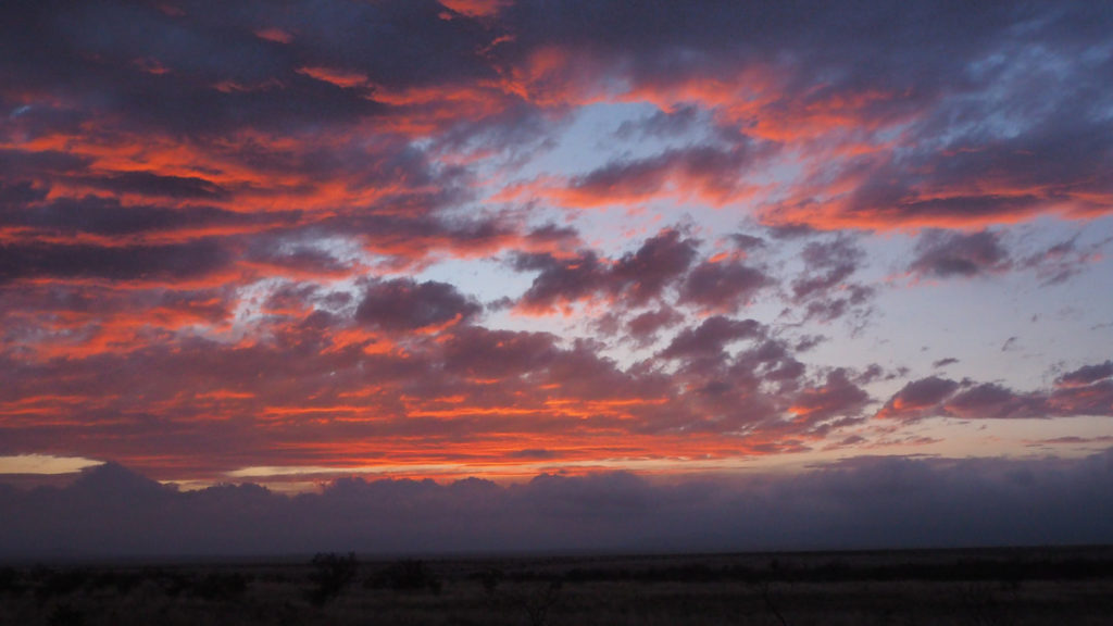 lovely downy roofs the hair of our homes —Zbigniew Herbert, translated by Alissa Valles