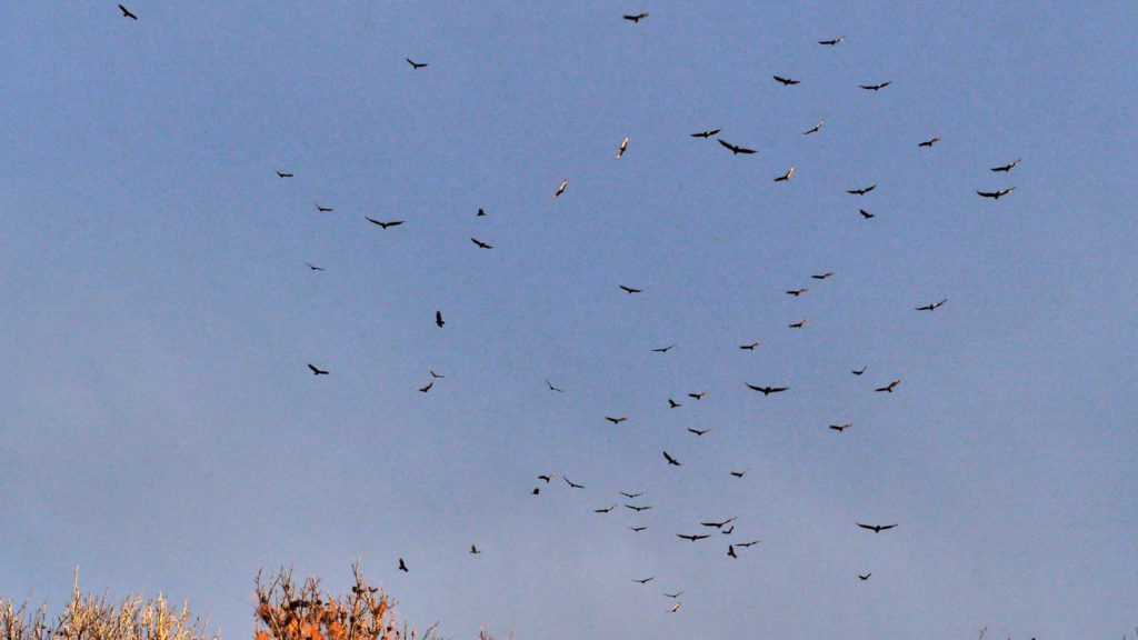 completely different upon waking one day