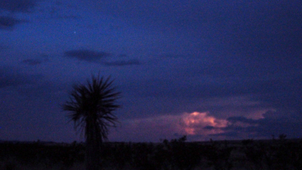 Waking with sleeping, ourselves with each other, —Muriel Rukeyser