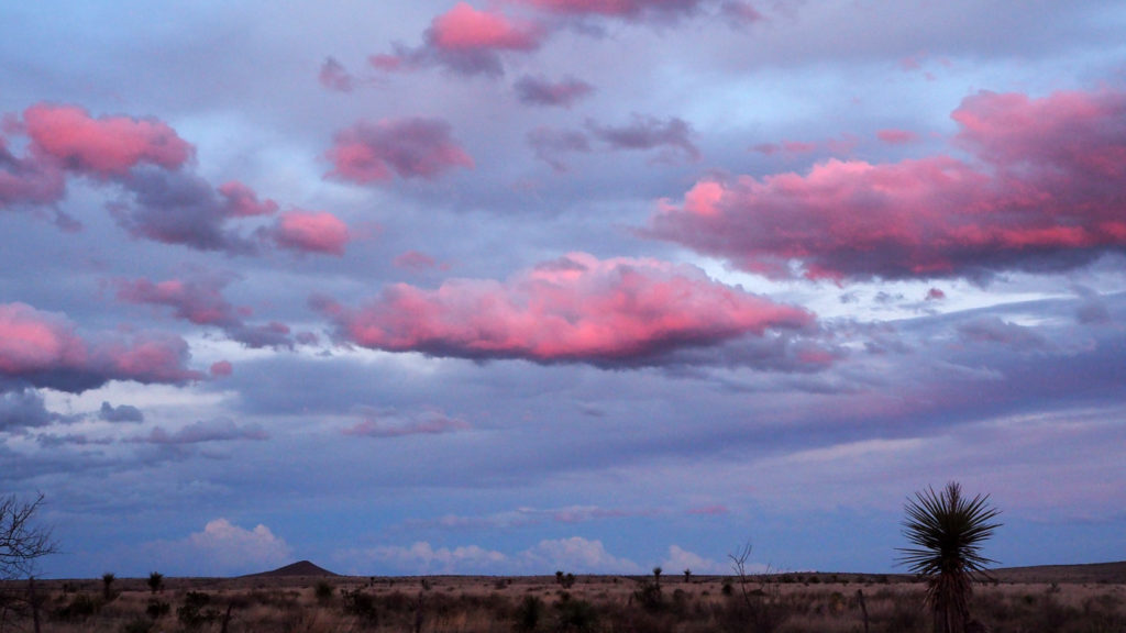 the daylight rushes unheard far above us