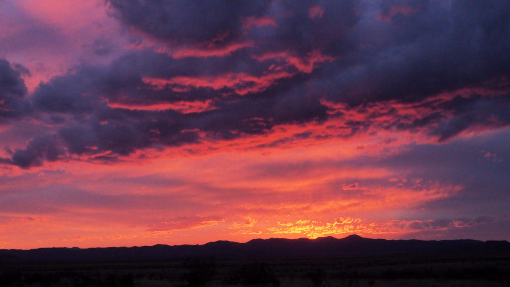 how long will we be swept along in the daylight