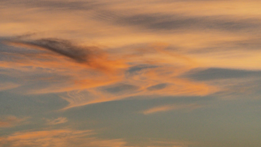 While terror, doubt, incessant pleading would