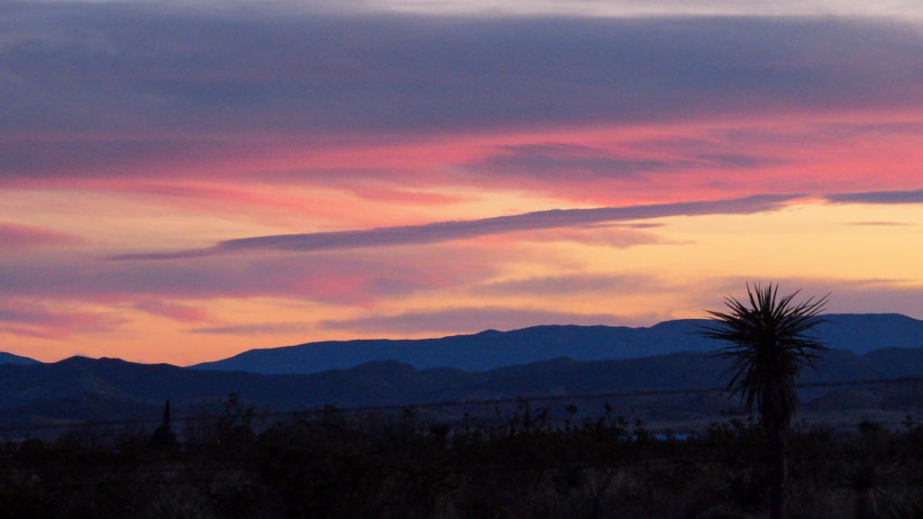 Must have released the arrow that I am? —Jorge Luis Borges, translated by Willis Barnstone