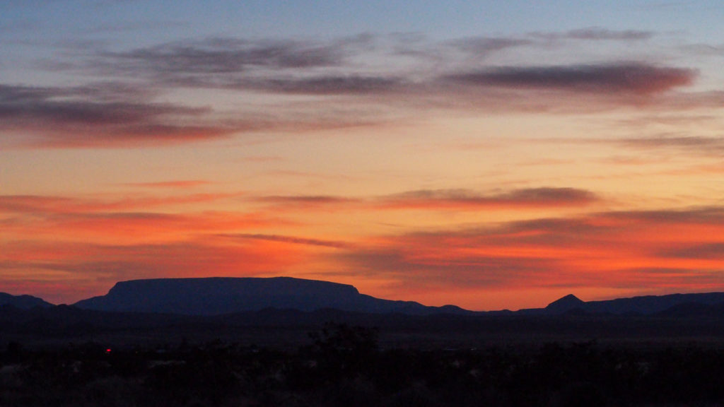 It says begin again, you begin again. —Louise Glück