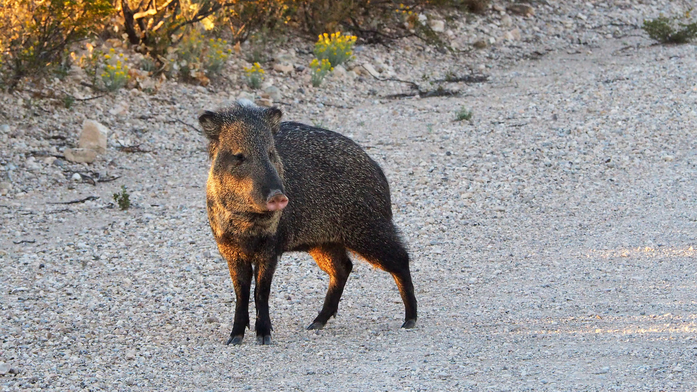 I think we might be happy in the end, in the dark