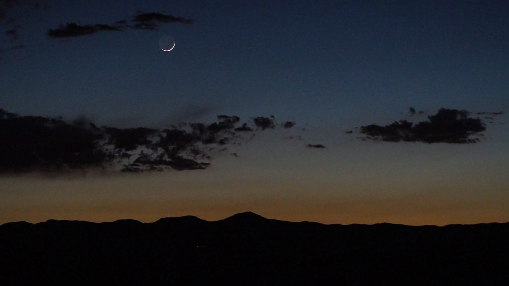 My stars in the sky were rustling softly. —Arthur Rimbaud, translated by Emily Ardagh