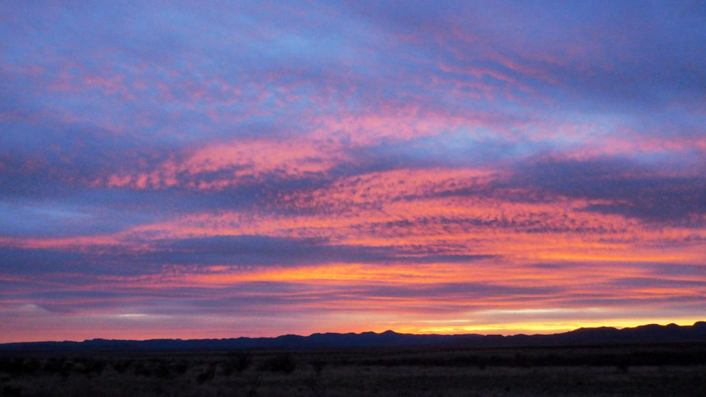 Closing around a blossom of fire.