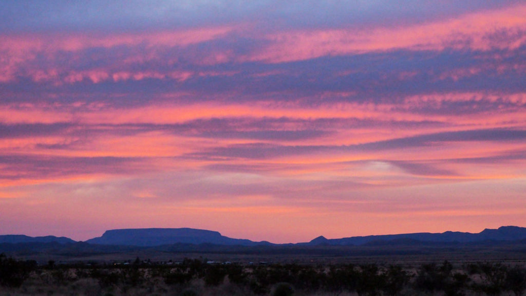 My bones turn to dark emeralds. —James Wright