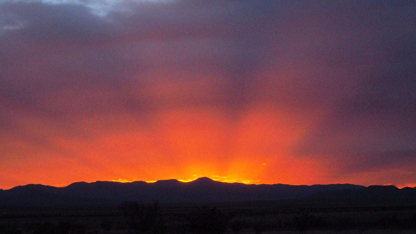 It is the earth I’ve come to,