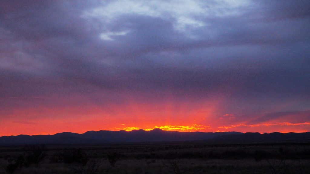 abused by the stupidity