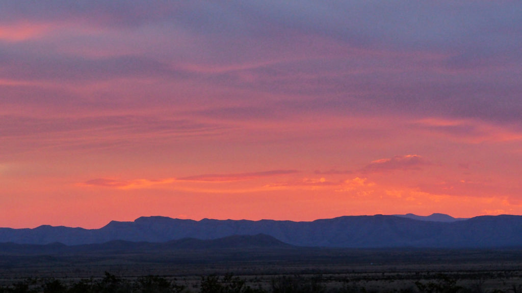 only humans are capable of