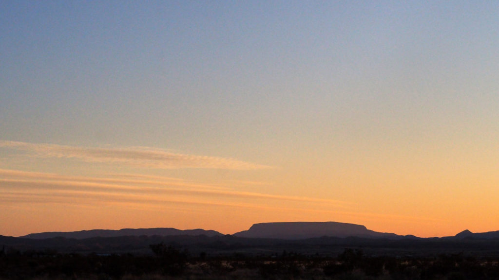 An Orphic vision. Your wild