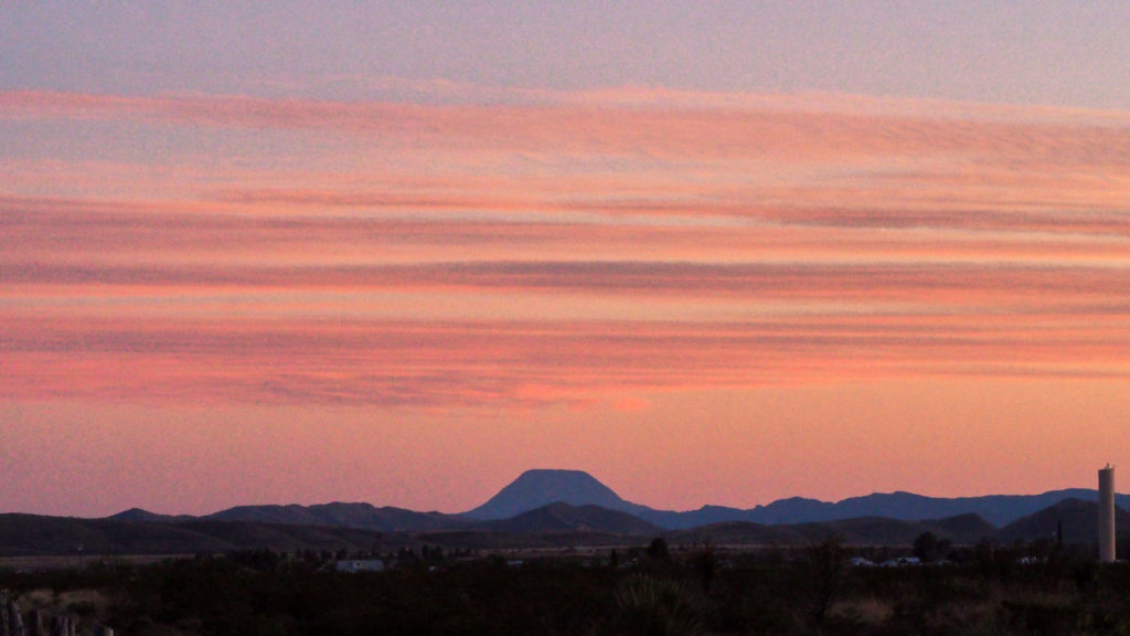 Pulse, what does it affirm? —Noelle Kocot