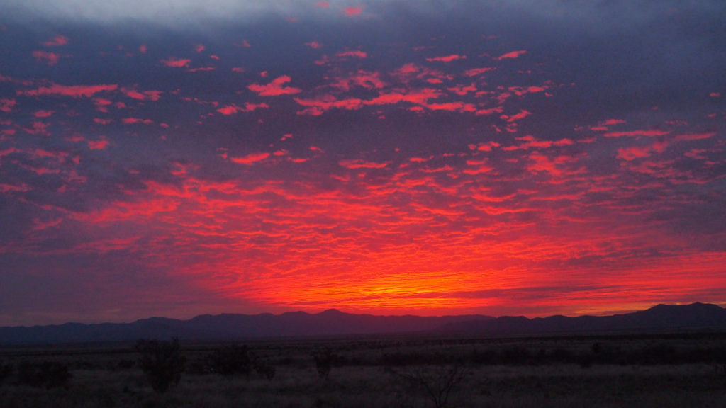 gathering essences of plants to clean.
