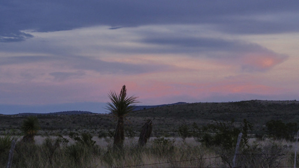 too much to be in forever a while: —A. R. Ammons