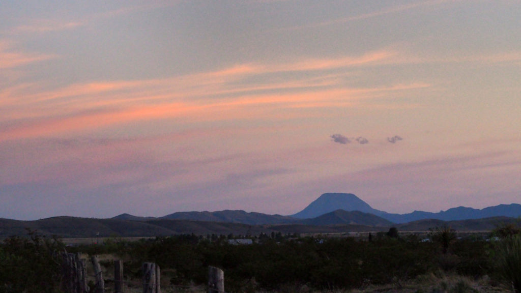 that talked back, the Chihuahuan ravens that follow