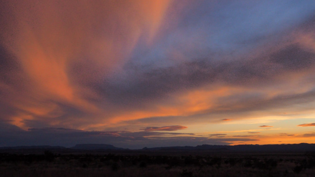 Today, not a single word, but the birds