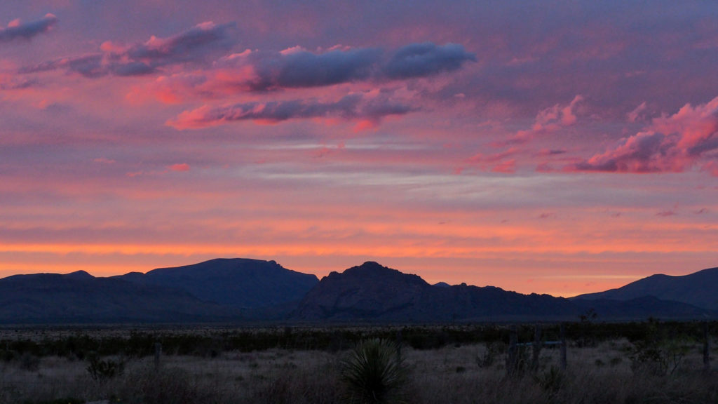 Was scarce upon my Eyes