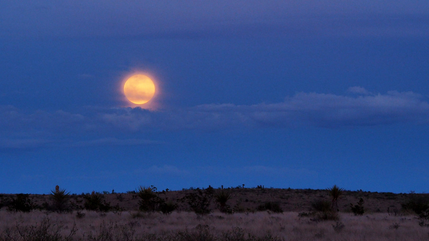 The privilege to scrutinize