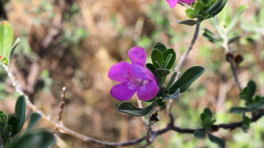 I tell you, but first,