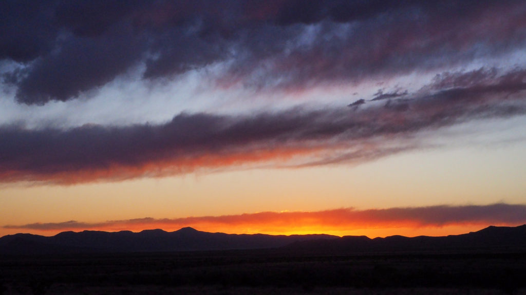 of those quasars, —Pascale Petit, after Cai Guo-Qiang