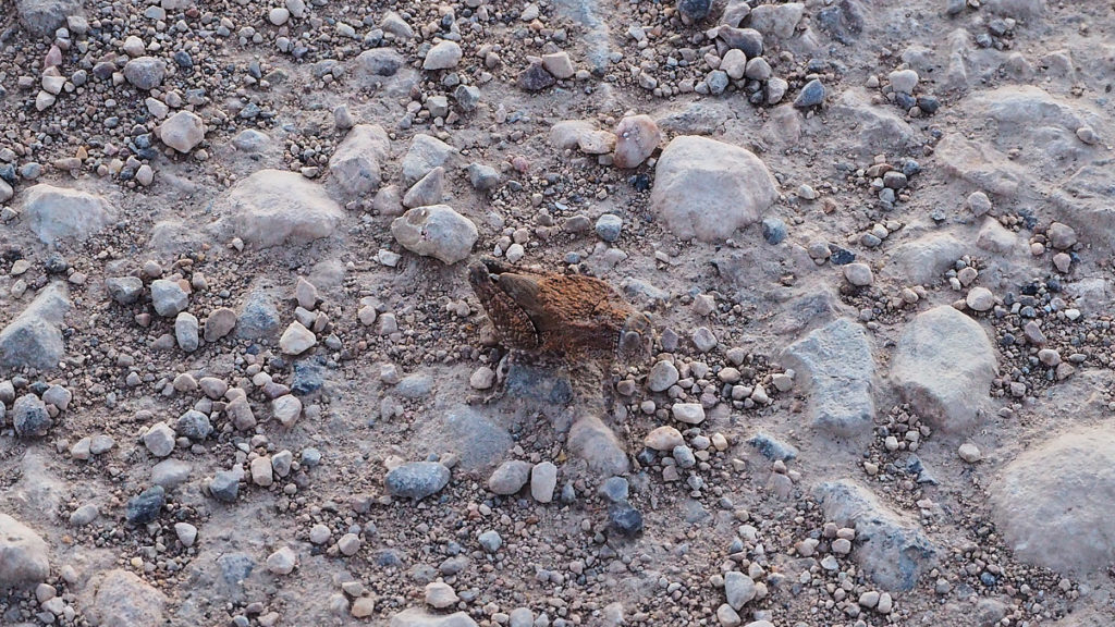 have a big time. —C. D. Wright