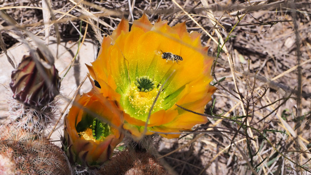 the sun goes down, I walk toward