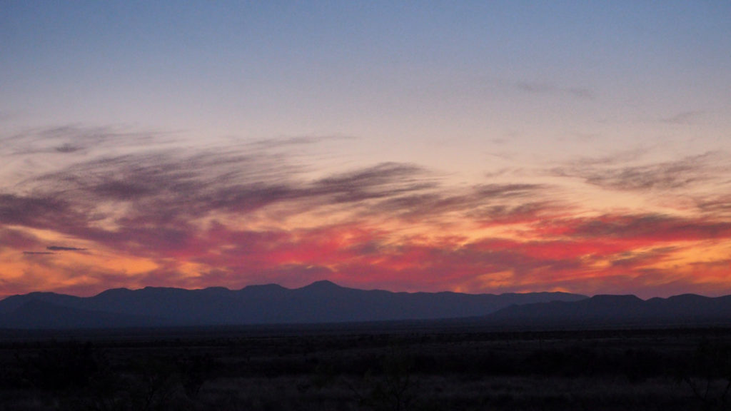 as a sheen of dew on flowers. —Izumi Shikibu, translated by Jane Hirshfield and Mariko Aratani