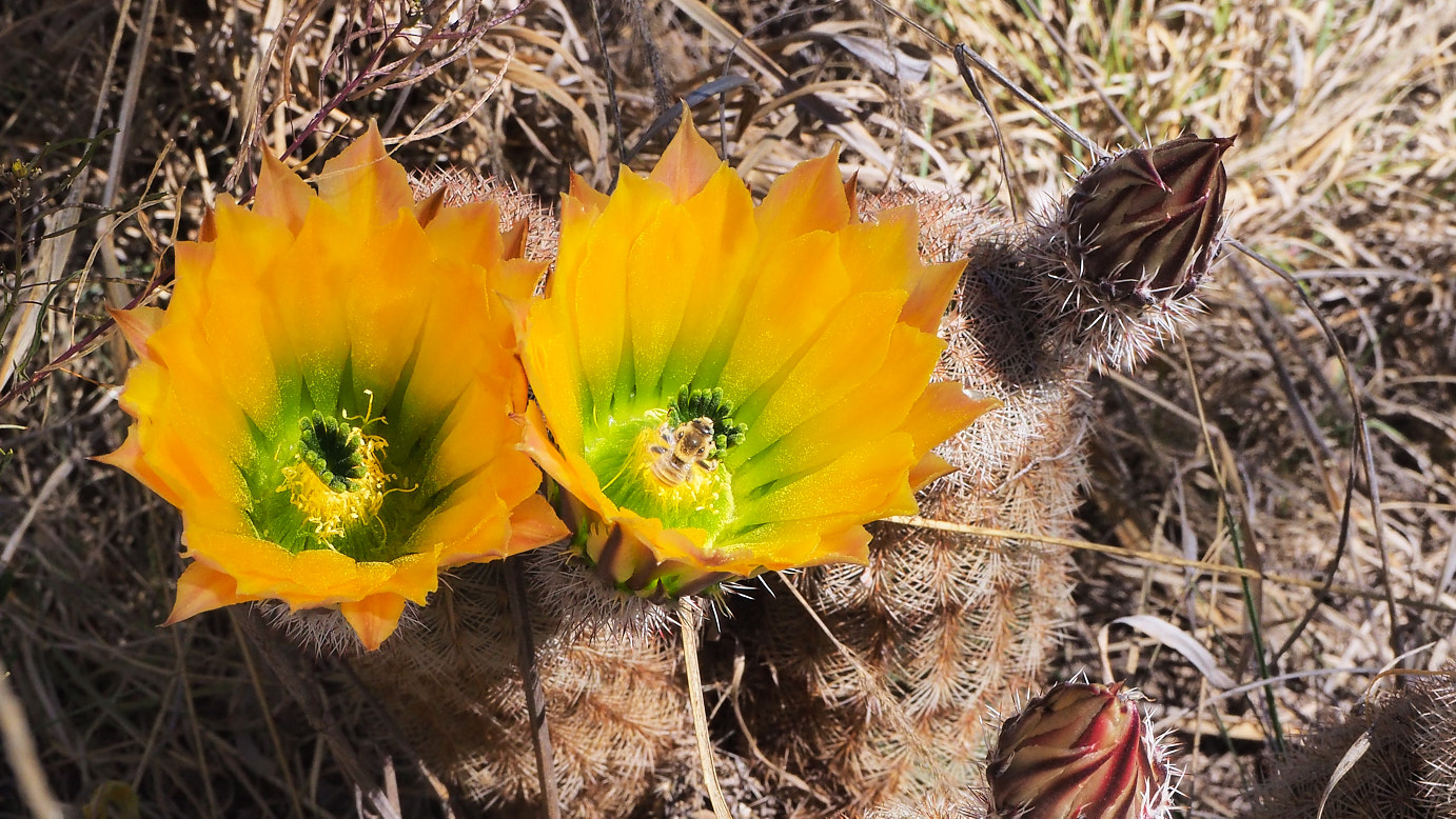 A sharp / reminder hits me: this world still is alive;