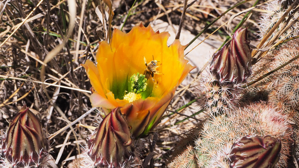 creation, and I’m part of it. Even my breathing