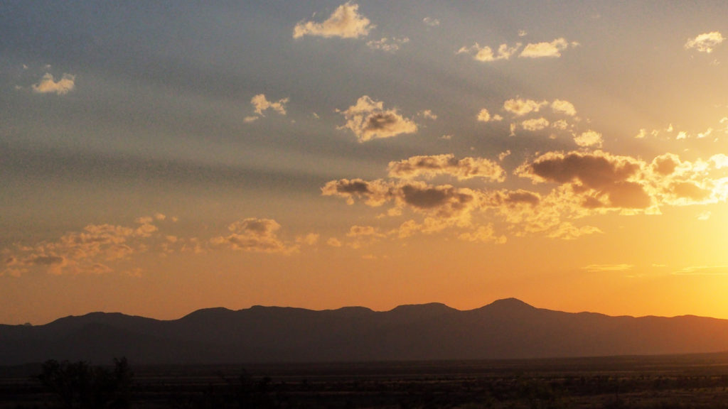 enters into the elaborate give-and-take,