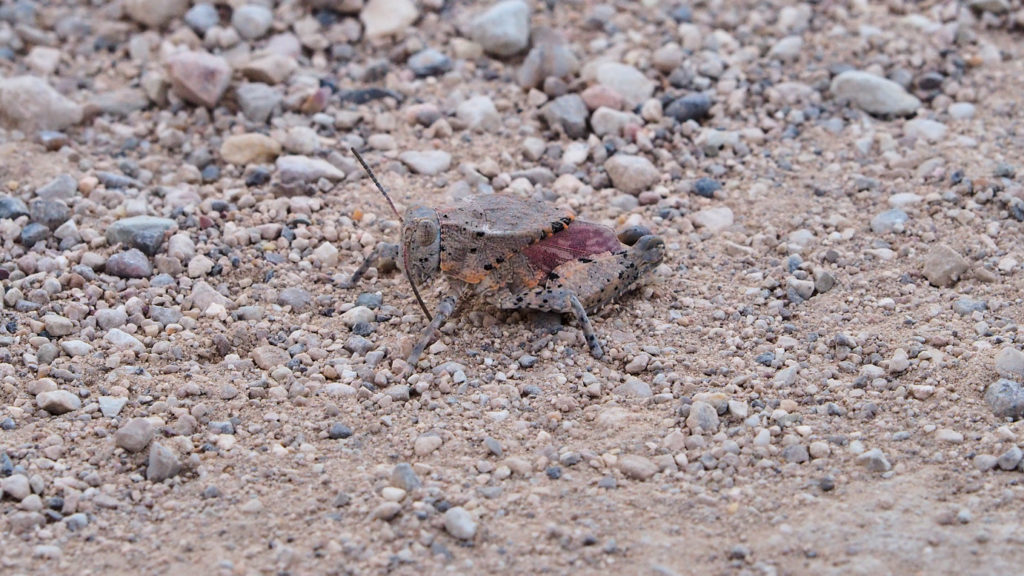 and nothing can distract me from