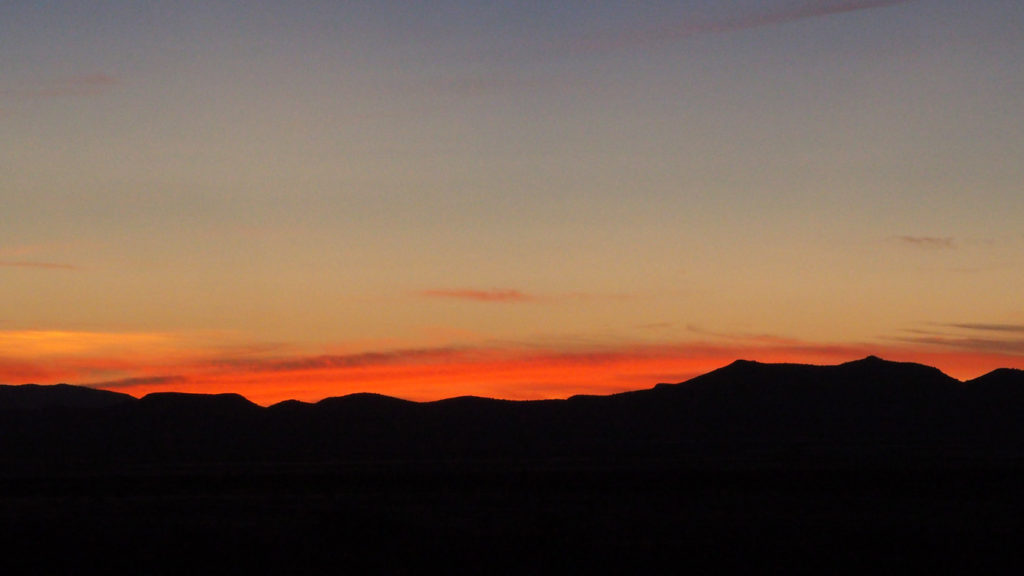 even with my small brain —Elizabeth Bishop