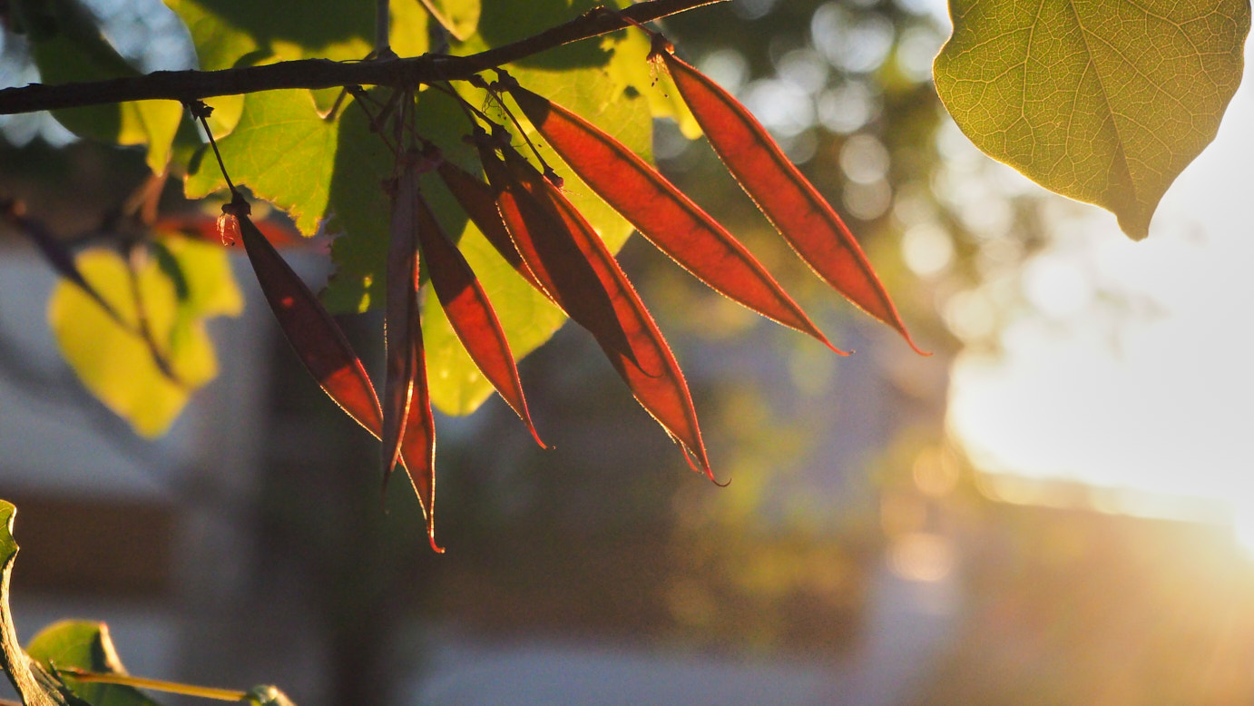 I hope so, myself now caught