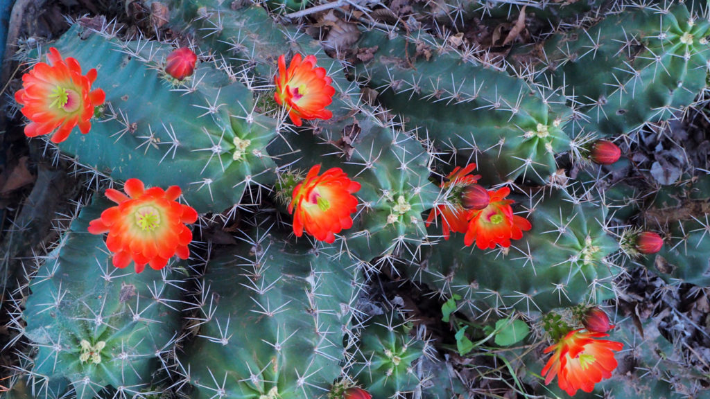 Which is the same place, and the same sound, —Charles Wright