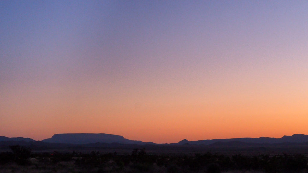 A strange new flower and an unnamed star. —Czesław Miłosz