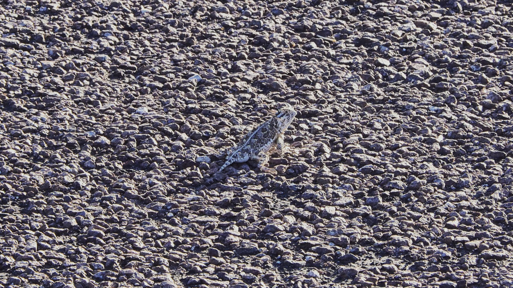 Those who are waiting for us.