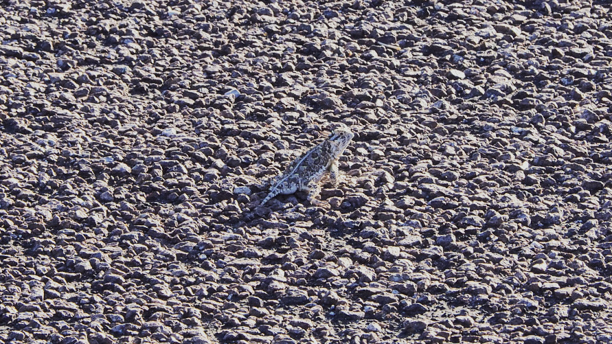 Lead us to those we are waiting for,