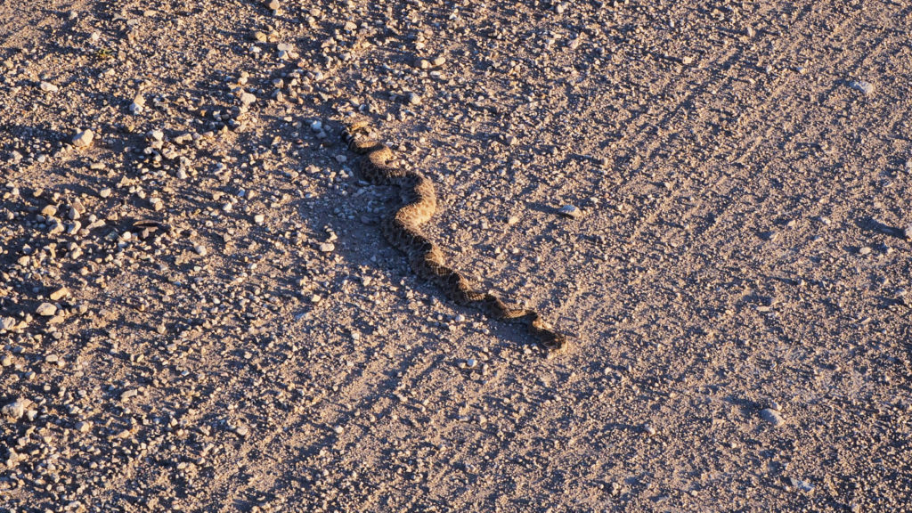 What ever it is that a wound remembers