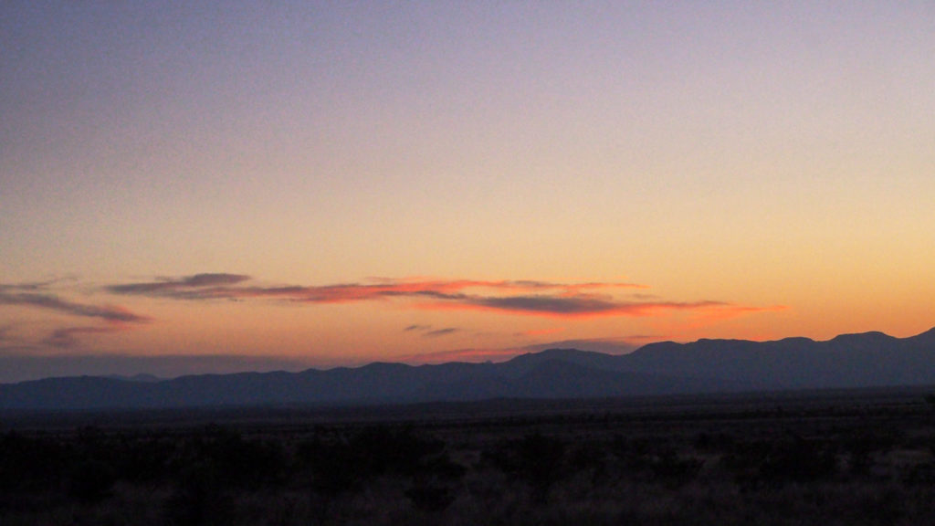 After the healing ends. —Weldon Kees