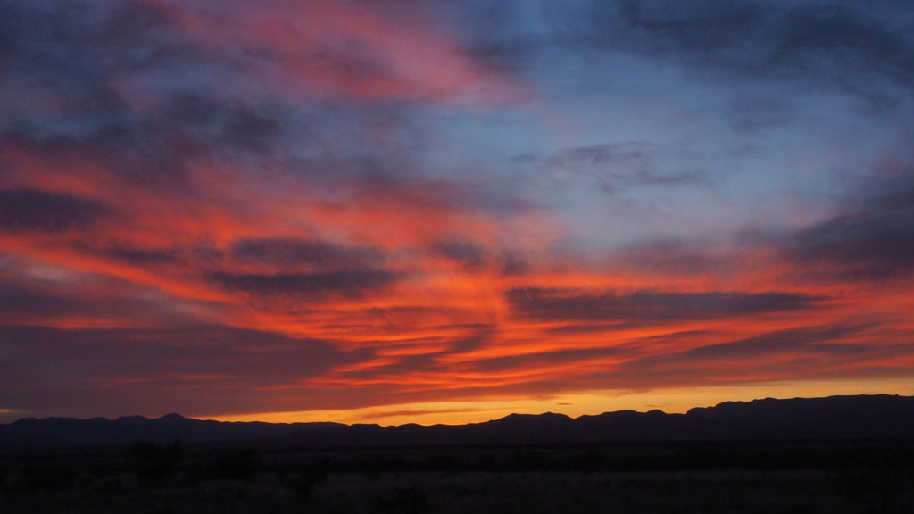 Stars and moths. —Eavan Boland